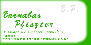 barnabas pfiszter business card